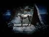 <b>დასახელება: </b>Game (279), <b>დაამატა:<b> nika99755555<br>ზომა: 1500x1125, 100.0 Кб