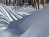 <b>დასახელება: </b>Golden Trees in the Snow, Tesuque, <b>დაამატა:<b> nika99755555<br>ზომა: 1500x1125, 165.9 Кб