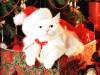 <b>დასახელება: </b>Christmas_17, <b>დაამატა:<b> nika99755555<br>ზომა: 1024x768, 189.8 Кб