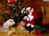 <b>დასახელება: </b>Christmas_43, <b>დაამატა:<b> nika99755555<br>ზომა: 1500x1125, 210.9 Кб