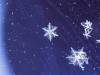 <b>დასახელება: </b>Winter Magic - 1600x1200 - ID 435, <b>დაამატა:<b> nika99755555<br>ზომა: 1500x1125, 124.1 Кб