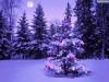 <b>დასახელება: </b>Christmas_59, <b>დაამატა:<b> nika99755555<br>ზომა: 1500x1125, 255.5 Кб
