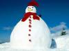 <b>დასახელება: </b>Frosty's Cousin, <b>დაამატა:<b> nika99755555<br>ზომა: 1500x1125, 99.8 Кб