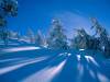 <b>დასახელება: </b>Snowy Shadows - 1600x1200 - ID 16, <b>დაამატა:<b> nika99755555<br>ზომა: 1500x1125, 181.9 Кб