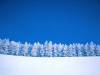 <b>დასახელება: </b>Winter Clearing - 1600x1200 - ID, <b>დაამატა:<b> nika99755555<br>ზომა: 1500x1125, 136.1 Кб