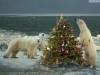 <b>დასახელება: </b>Christmas_36, <b>დაამატა:<b> nika99755555<br>ზომა: 1500x1125, 205.0 Кб
