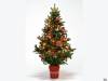 <b>დასახელება: </b>ny_357, <b>დაამატა:<b> nika99755555<br>ზომა: 1500x1125, 112.5 Кб