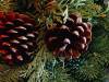<b>დასახელება: </b>Christmas_24, <b>დაამატა:<b> nika99755555<br>ზომა: 1024x768, 189.8 Кб