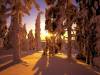 <b>დასახელება: </b>Snow Covered Forest, Finland - 16, <b>დაამატა:<b> nika99755555<br>ზომა: 1500x1125, 271.3 Кб