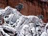 <b>დასახელება: </b>Frosted Rocks, Red Rock Cliffs, C, <b>დაამატა:<b> nika99755555<br>ზომა: 1500x1125, 348.4 Кб