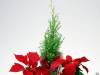 <b>დასახელება: </b>ny_309, <b>დაამატა:<b> nika99755555<br>ზომა: 1500x1125, 147.7 Кб