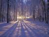 <b>დასახელება: </b>Winter Sunset, Alaska - 1600x1200, <b>დაამატა:<b> nika99755555<br>ზომა: 1500x1125, 251.0 Кб