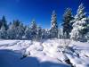 <b>დასახელება: </b>Natural Blanket - 1600x1200 - ID, <b>დაამატა:<b> nika99755555<br>ზომა: 1500x1125, 248.2 Кб