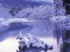 <b>დასახელება: </b>Still Waters, Eagle River, Alaska, <b>დაამატა:<b> nika99755555<br>ზომა: 1500x1125, 232.0 Кб