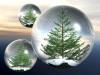 <b>დასახელება: </b>magic_balls, <b>დაამატა:<b> nika99755555<br>ზომა: 1024x768, 129.6 Кб