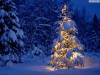 <b>დასახელება: </b>Christmas_61, <b>დაამატა:<b> nika99755555<br>ზომა: 1500x1125, 218.8 Кб