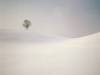 <b>დასახელება: </b>Peaceful Season, near Hirzel, Swi, <b>დაამატა:<b> nika99755555<br>ზომა: 1500x1125, 67.4 Кб